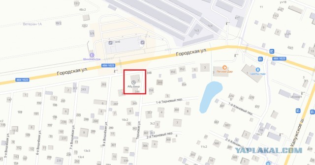 «Трэш» в Троицке продолжается: охрана избивает защитников леса и травит людей перцовым газом