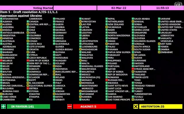 Голосование в ООН