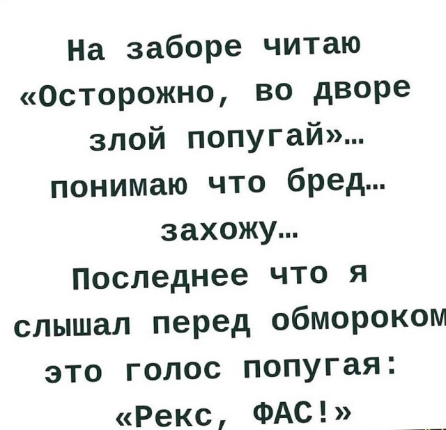 Так себе картинки 11.04.22