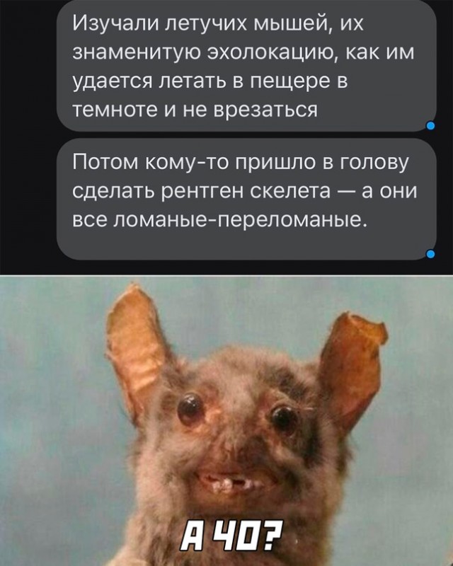 Картинки и мемы для настроения - 17