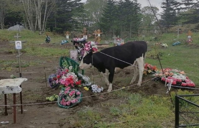 Так себе картинки 30.08.22