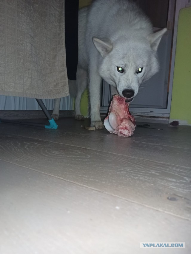 Нам уже 3 месяца