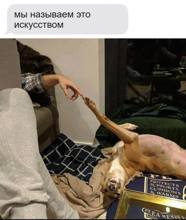 Картинки и мемы. Выходные близко...