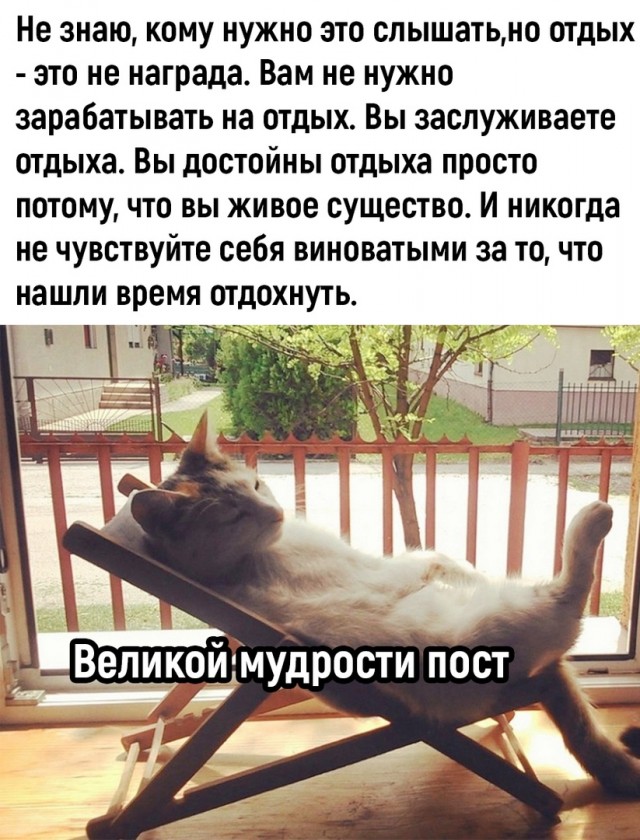 Так себе картинки 26.10.22