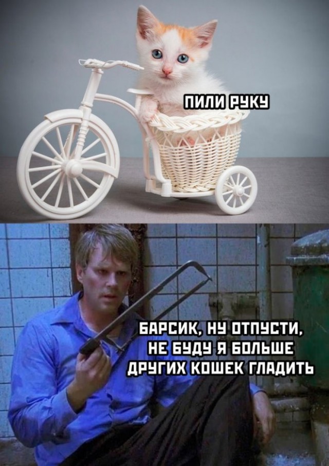 Картинки и мемы, всем хороших выходных