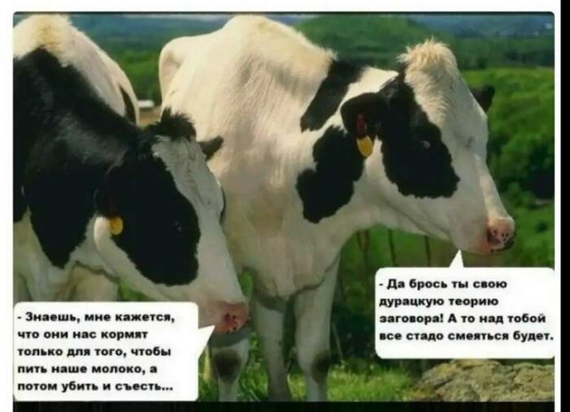 Небесный "тихоход"