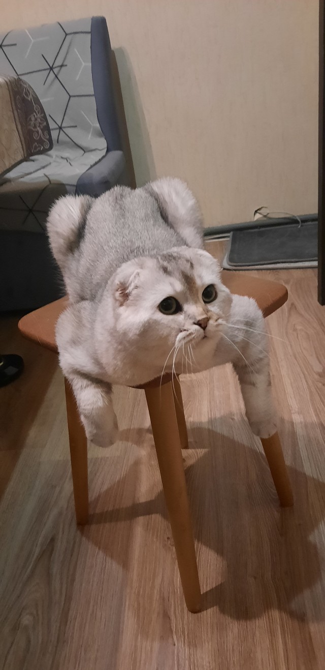 Дождалась