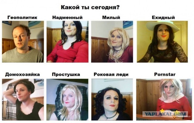 Человейник лучше дома