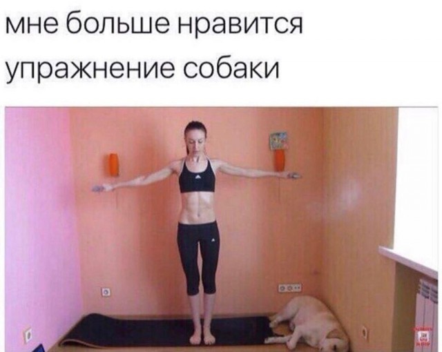 Весёлый полтишок 28.06.23