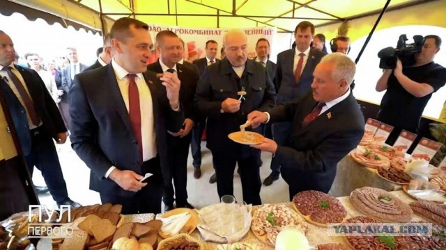 Не все у поляков плохо