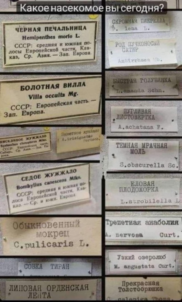 Народная меДИЧина 1005