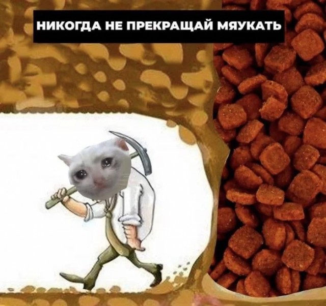 Приколы для настроения