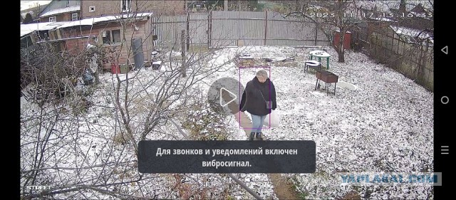 IP камера, муки выбора