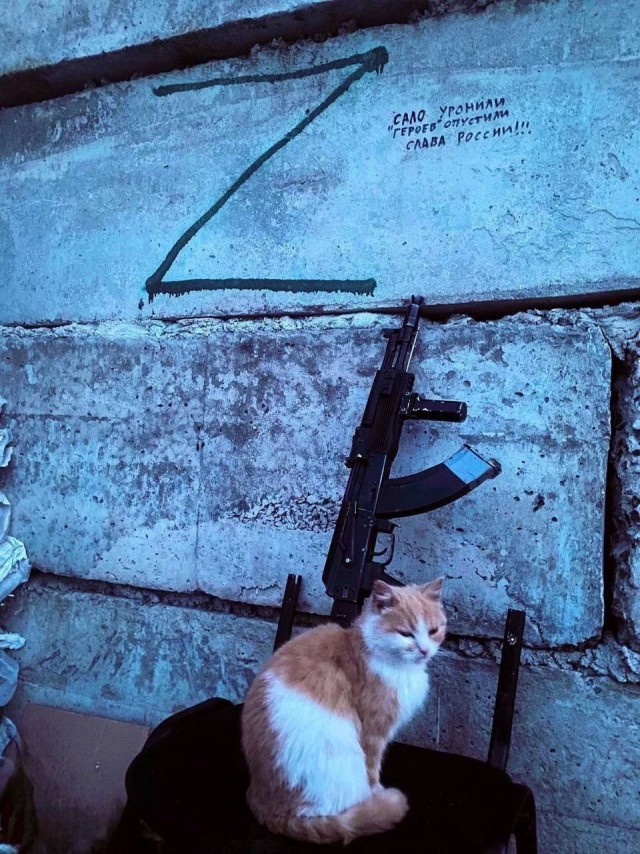 Кот в рамках бытия