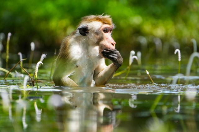 Подборка интересных и веселых картинок 13.02.24