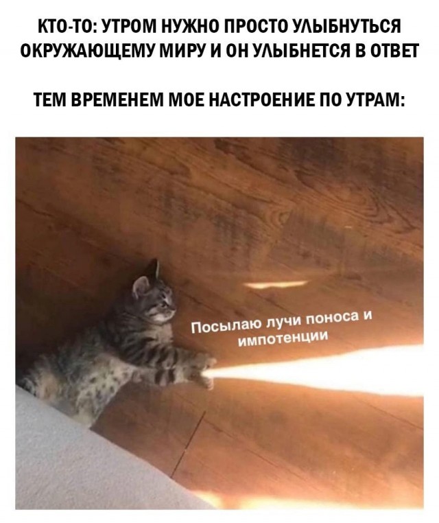 Всего понемногу. От 24.02.24