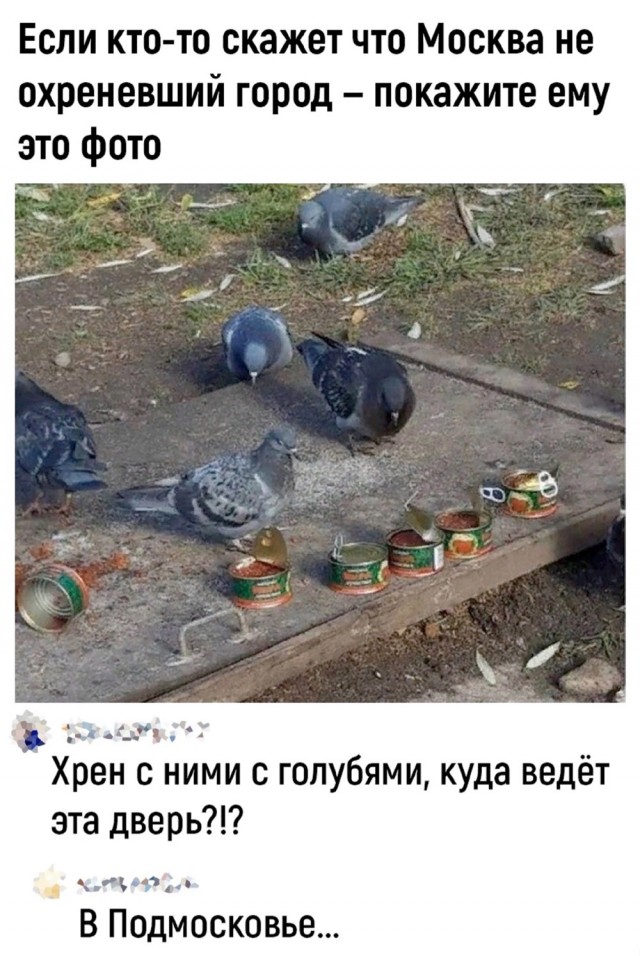 Уморные пикчи 07.06.24