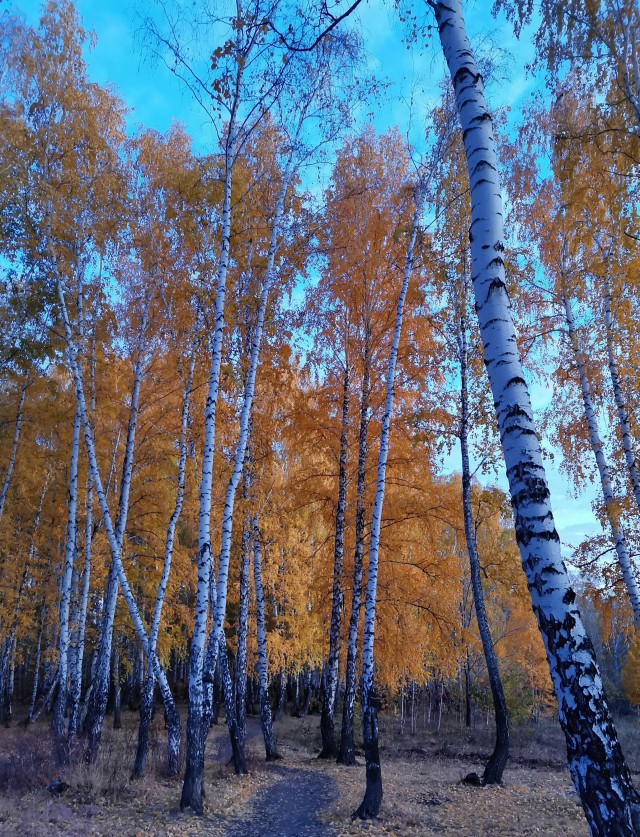 Скоро кончится лето. Это…