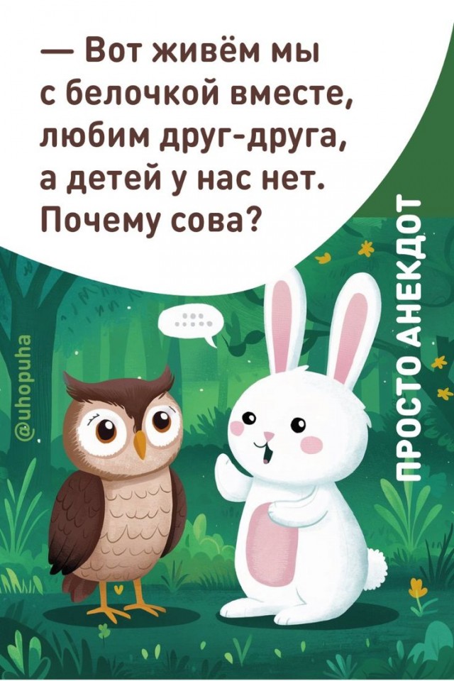 Прикольные и просто красивые картинки 13.09.2024