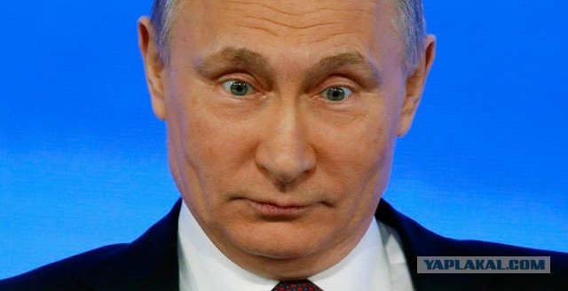 Путин удивился закупке Россией изделий из древесины за границей