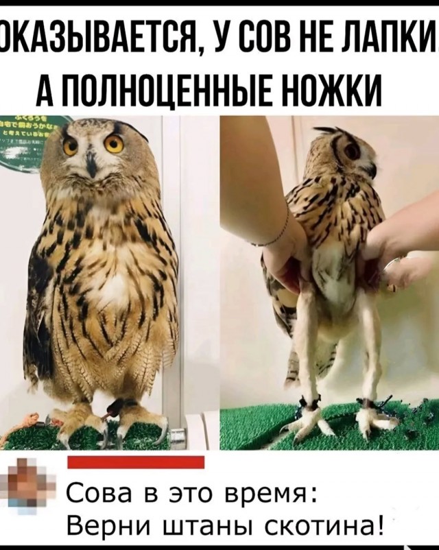Завалялось тут случайно немного забавных картинок