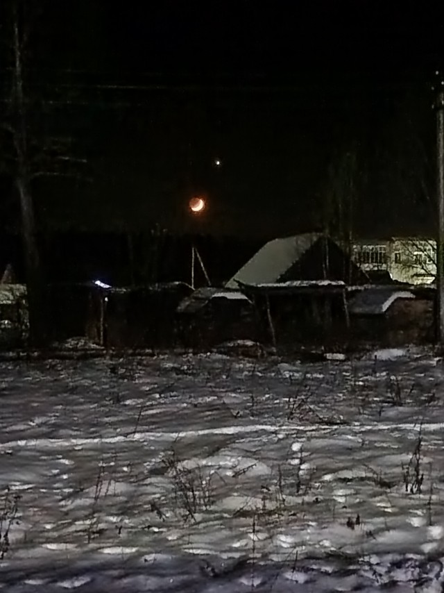 Венера в самом соку