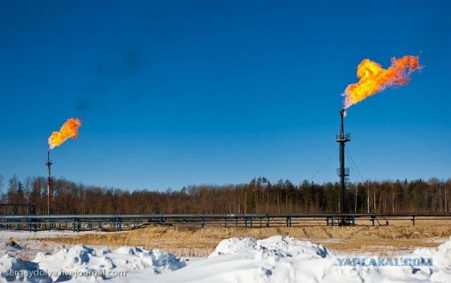 Зачем сжигают попутный газ?