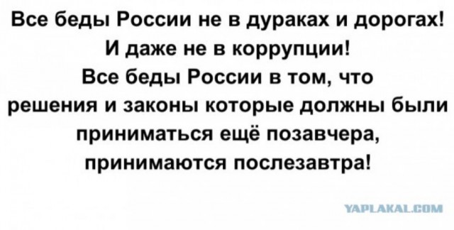 МВД отчиталось о мигрантах