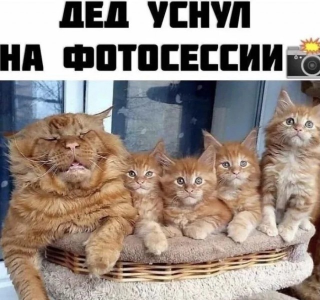 Немного мемчиков на сегодня из этих ваших инторнетов