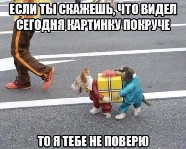 Так себе картинки 25.05.25