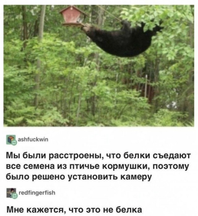 Так себе картинки 10.06.25