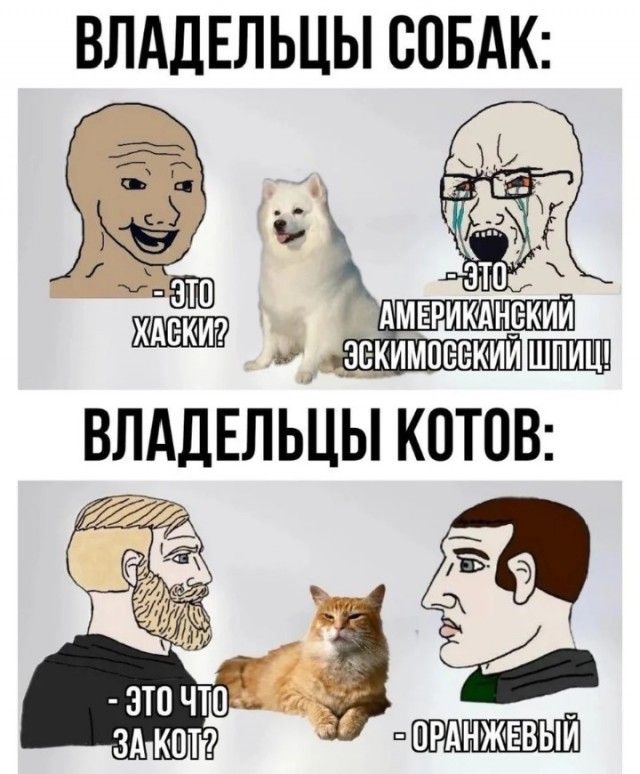 Давно не было....