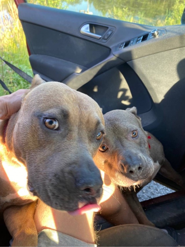 Они добрые оказывается