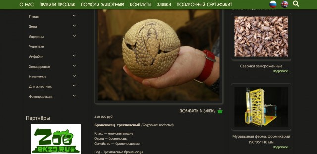 Броненосцы, обстановка