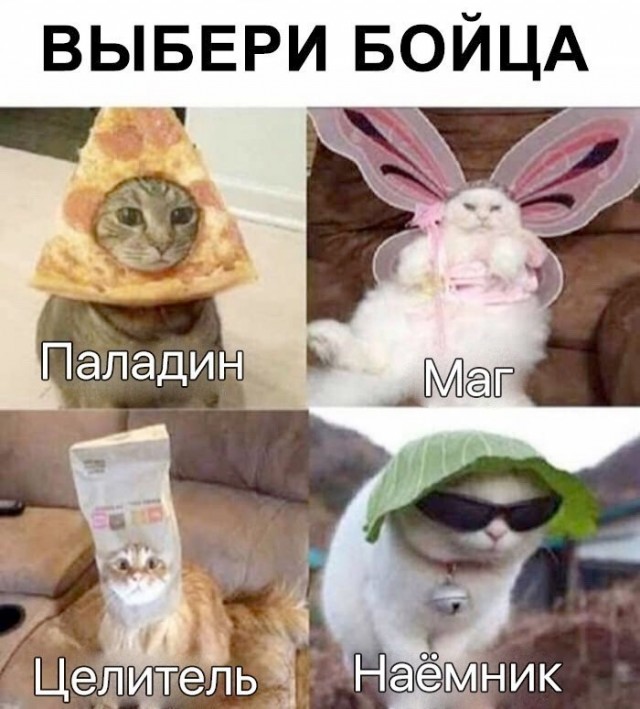 Веселые картинки в маленькую пятницу (06.08)