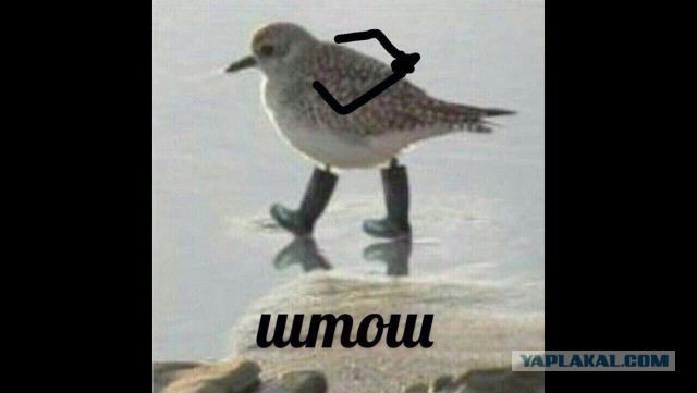 Памятка мужчинам в отношениях с девушками 21 века