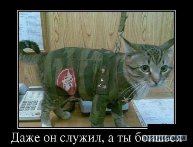 Фото пыток силовиками невиновных в Ингушетии