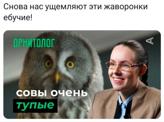 Деградация