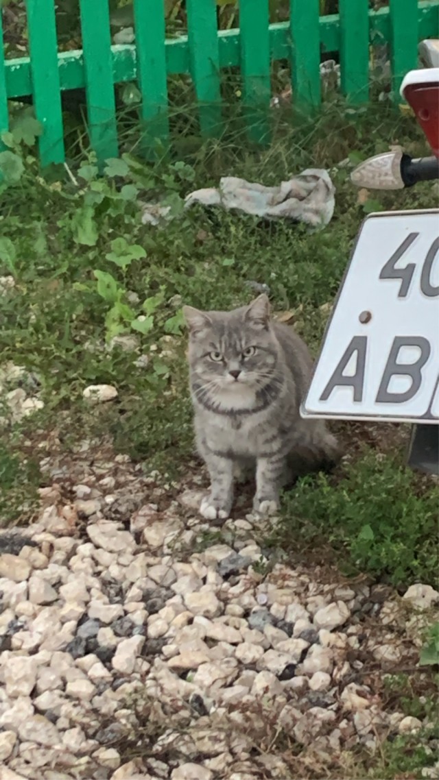 Не знаю зачем