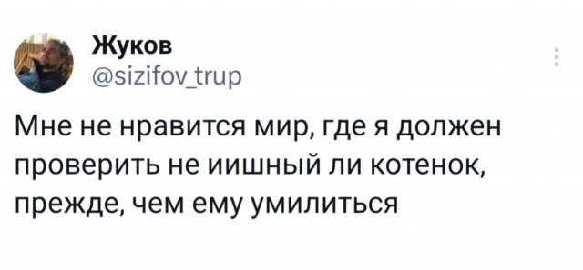 Картинки , вторник 14-е