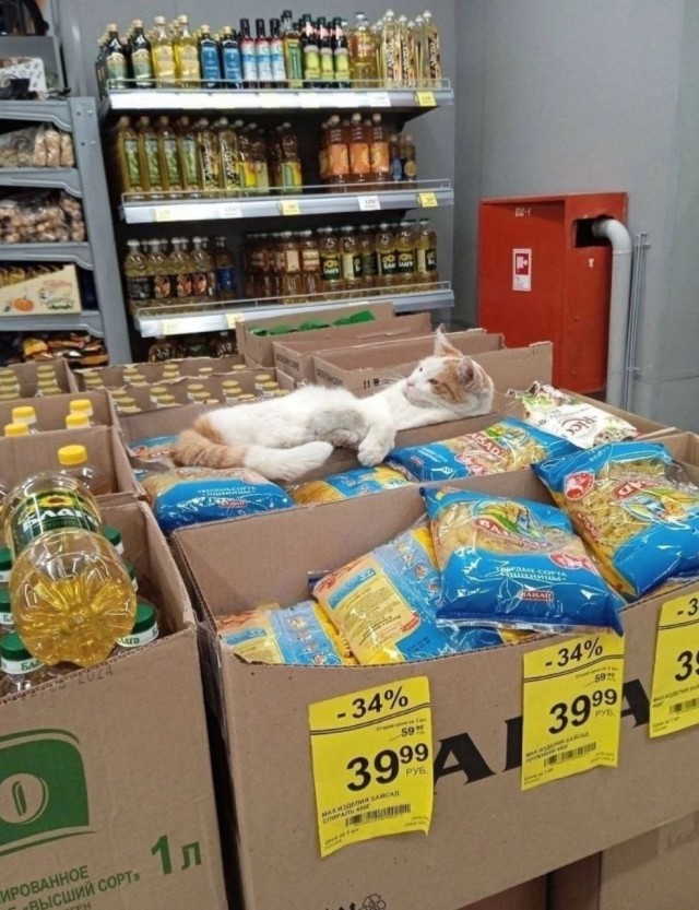 Акционный смотритель