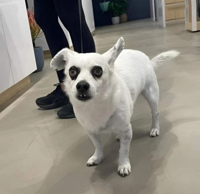 Прикольные и просто красивые картинки 18.11.2025