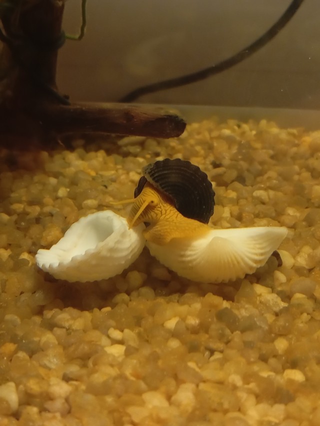 Про подработку за компом.