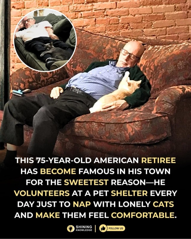 Приятная работа