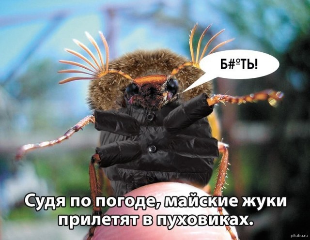 Май