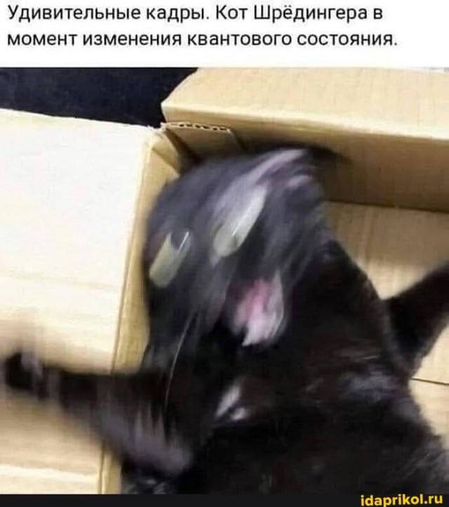Аспирант, которого не слушали. Квантовая механика