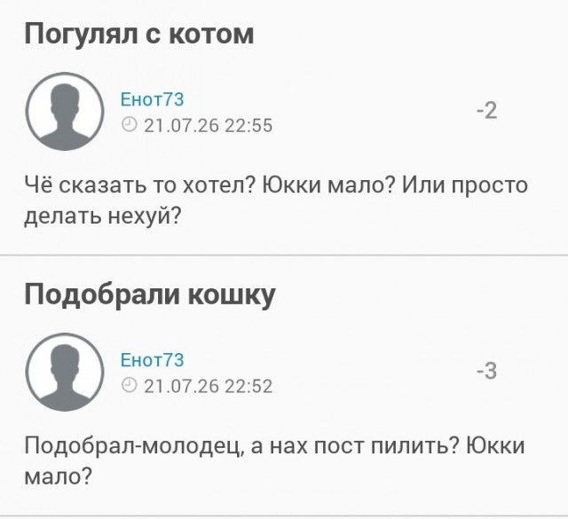 Подобрали кошку