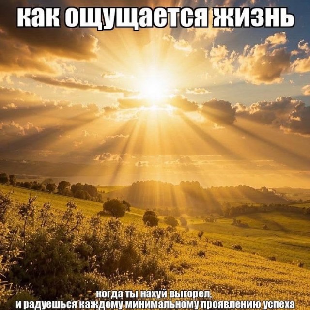 мемчики