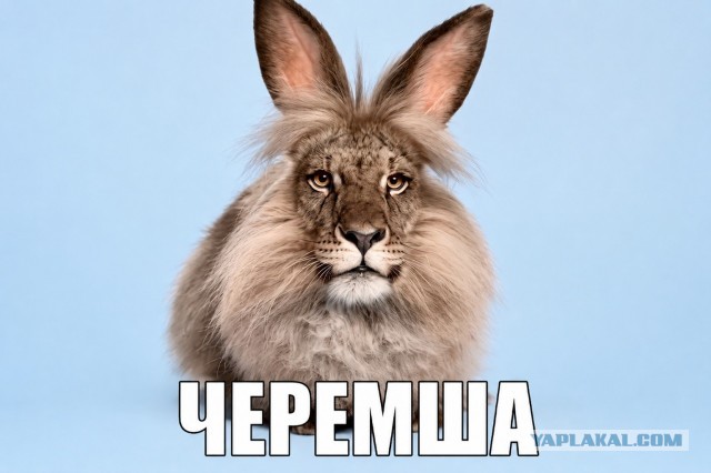 Очень на любителя