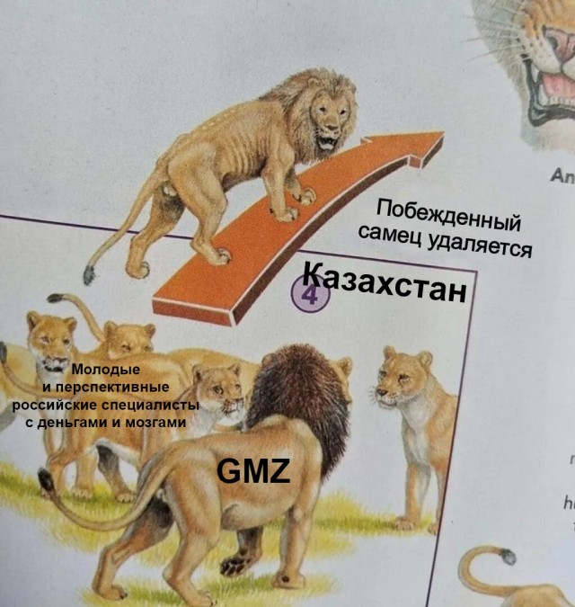 В Казахстан